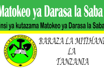 Matokeo ya Darasa la Saba 2025/2026 (NECTA PSLE Results)