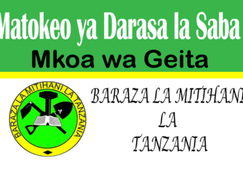 Matokeo ya Darasa la Saba 2025 Geita