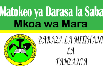 Matokeo ya Darasa la Saba 2025 Mara