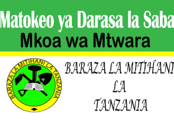 Matokeo ya Darasa la Saba 2025 Mtwara