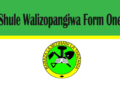 Shule Walizopangiwa Form One 2025