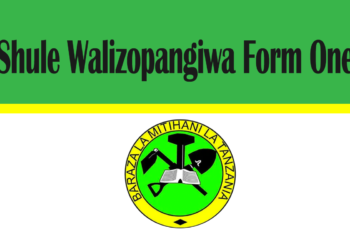 Shule Walizopangiwa Form One 2025
