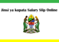 Salary Slip Portal: Jinsi ya kupata Salary Slip Online kupitia mfumo wa Online Salary Slip Portal