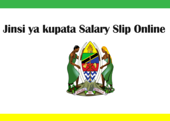 Salary Slip Portal: Jinsi ya kupata Salary Slip Online kupitia mfumo wa Online Salary Slip Portal