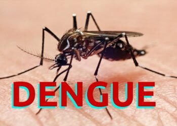 Dalili za ugonjwa wa Dengue, Sababu na Tiba