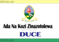 Ada Na Kozi Zinazotolewa Na Chuo Cha Dar es Salaam University College of Education (DUCE Courses And Fees)