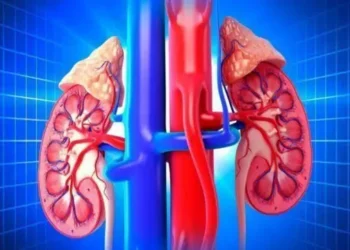 Dalili za ugonjwa wa figo kwa mwanaume, Sababu na Tiba