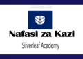 Fursa ya Mafunzo kwa Vitendo (Internship) katika kampuni ya Silverleaf Academy