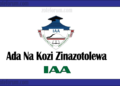 Ada Na Kozi Zinazotolewa Na Chuo Cha Uhasibu Arusha (IAA Courses And Fees)