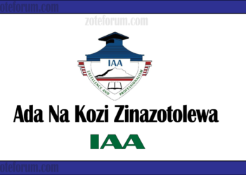 Ada Na Kozi Zinazotolewa Na Chuo Cha Uhasibu Arusha (IAA Courses And Fees)