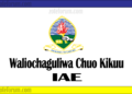 Majina Ya Waliochaguliwa Chuo Kikuu Cha IAE 2025/2026 (IAE Selected Applicants)