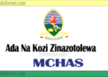 Ada Na Kozi Zinazotolewa Na Chuo Cha Mbeya College of Health and Allied Sciences (MCHAS Courses And Fees)