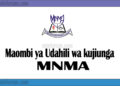 Maombi ya Udahili Chuo Kikuu cha Mwalimu Nyerere Memorial Academy (MNMA Application )