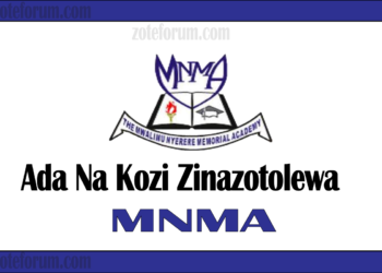 Ada Na Kozi Zinazotolewa Na Chuo cha Kumbukumbu ya Mwalimu Nyerere (MNMACourses And Fees)