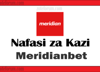 Na fasi za kazi kampuni ya Meridianbet, anahitajika Mwandishi wa Maudhui ya Kidijitali