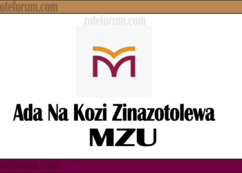 Ada Na Kozi Zinazotolewa Na Chuo Cha Mwanza University (MzU Courses Anmzud Fees)