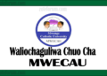 Majina Ya Waliochaguliwa Chuo Kikuu Cha MWECAU