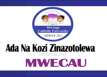 Ada Na Kozi Zinazotolewa Na Chuo Kikuu cha Kikatoliki Mwenge (MWECAU Courses And Fees)