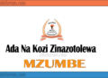Ada na Kozi Zinazotolewa na Chuo Kikuu cha Mzumbe (MU Courses and fees)