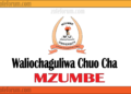 Majina Ya Waliochaguliwa Chuo Kikuu Cha Mzumbe