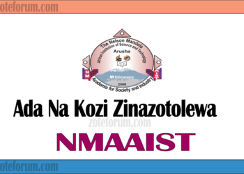 Ada Na Kozi Zinazotolewa Na Chuo Cha Nelson Mandela (NM-AIST Courses and Fees)