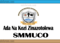 Ada Na Kozi Zinazotolewa Na Chuo Cha Stefano Moshi Memorial (SMMUCo) (Courses And Fees)
