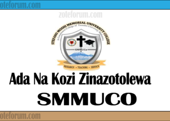Ada Na Kozi Zinazotolewa Na Chuo Cha Stefano Moshi Memorial (SMMUCo) (Courses And Fees)