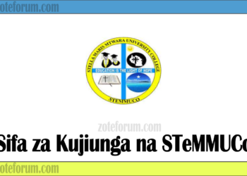 Sifa Za Kujiunga Na Chuo Kikuu Cha Stella Maris Mtwara University College (STeMMUCo) 2025/2026