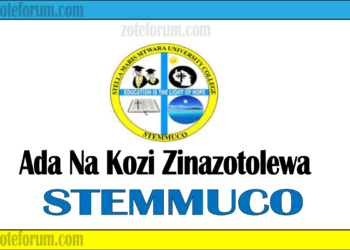 Ada Na Kozi Zinazotolewa Chuo Kikuu Kishiriki cha Stella Maris Mtwara (STeMMUCo Courses And Fees)