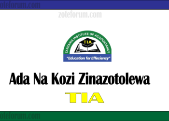 Ada Na Kozi Zinazotolewa Na Chuo Cha Tanzania Institute of Accountancy (TIA Courses And Fees)