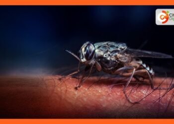 Dalili za Ugonjwa wa Malale, Sababu na Tiba