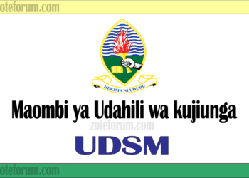 Maombi ya Udahili Chuo Kikuu cha Institute of Adult Education (IAE Application 2025/2026)
