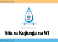 Sifa za Kujiunga na Chuo cha Maji (WI) 2025/2026