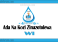 Fahamu Ada Na Kozi Zinazotolewa Na Chuo Cha Maji (WI Courses And Fees)