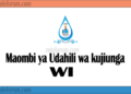 Maombi ya Udahili Chuo Kikuu cha Water Institute  2025/2026 (WI Application)