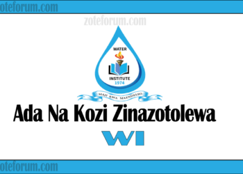 Fahamu Ada Na Kozi Zinazotolewa Na Chuo Cha Maji (WI Courses And Fees)