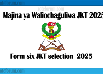 Form Six JKT Selection 2025: Majina ya Waliochaguliwa JKT 2025 ( PDF Download)