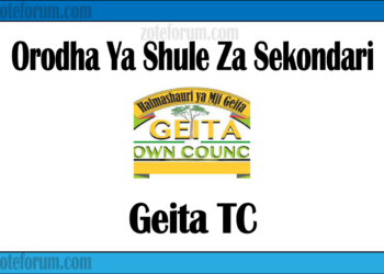 Zifahamu shule zote za Sekondari zilizopo katika Mji wa Geita