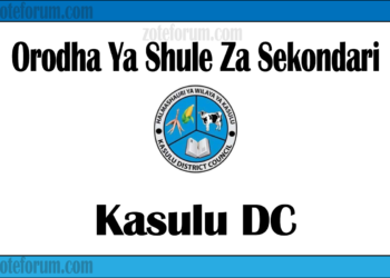 Zifahamu Shule Zote za Sekondari Zilizopo Katika Wilaya ya Kasulu, Matokeo ya NECTA na Mock, Majina ya Waliochaguliwa Kidato cha Kwanza na cha Tano, na Utaratibu wa Kujiunga na Masomo Katika Shule Hizo