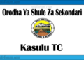 Orodha Ya Shule Za Sekondari Mji wa Kasulu, Matokeo, Majina ya Waliochaguliwa na Utaratibu wa Kujiunga na Masomo