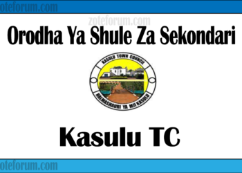 Orodha Ya Shule Za Sekondari Mji wa Kasulu, Matokeo, Majina ya Waliochaguliwa na Utaratibu wa Kujiunga na Masomo