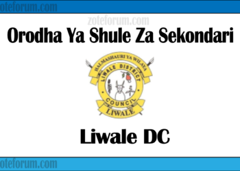 Orodha Ya Shule Za Sekondari Wilaya Ya Liwale