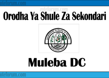 Zifahamu shule zote za Sekondari zilizopo katika Wilaya Ya Muleba