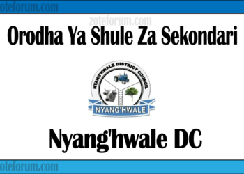 Zifahamu shule zote za Sekondari zilizopo katika Wilaya Ya Nyang'hwale