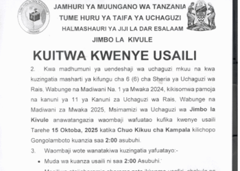 Majina ya Usaili wa Kusimamia Uchaguzi 2025 Jimbo la Kivule