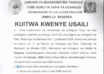 Majina ya Usaili wa Kusimamia Uchaguzi 2025 Jimbo la Segerea