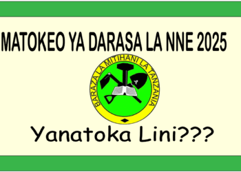 Matokeo ya Darasa la Nne 2025: Tazama Matokeo ya Wanafunzi Wote Hapa (SFNA)