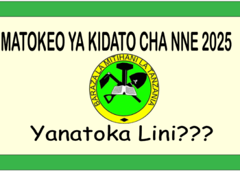 Matokeo ya Kidato cha Nne 2025/2026: Jinsi ya Kuangalia CSEE results 2025